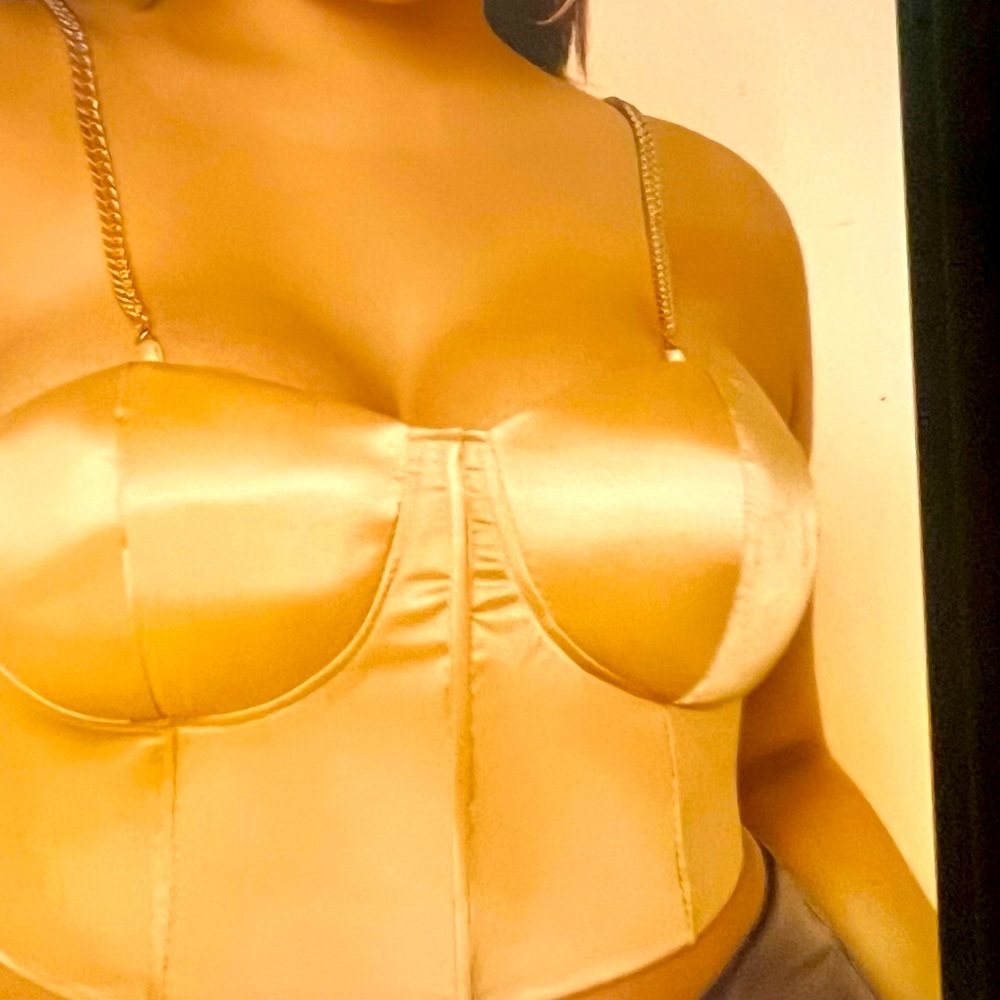 Satin Bustier